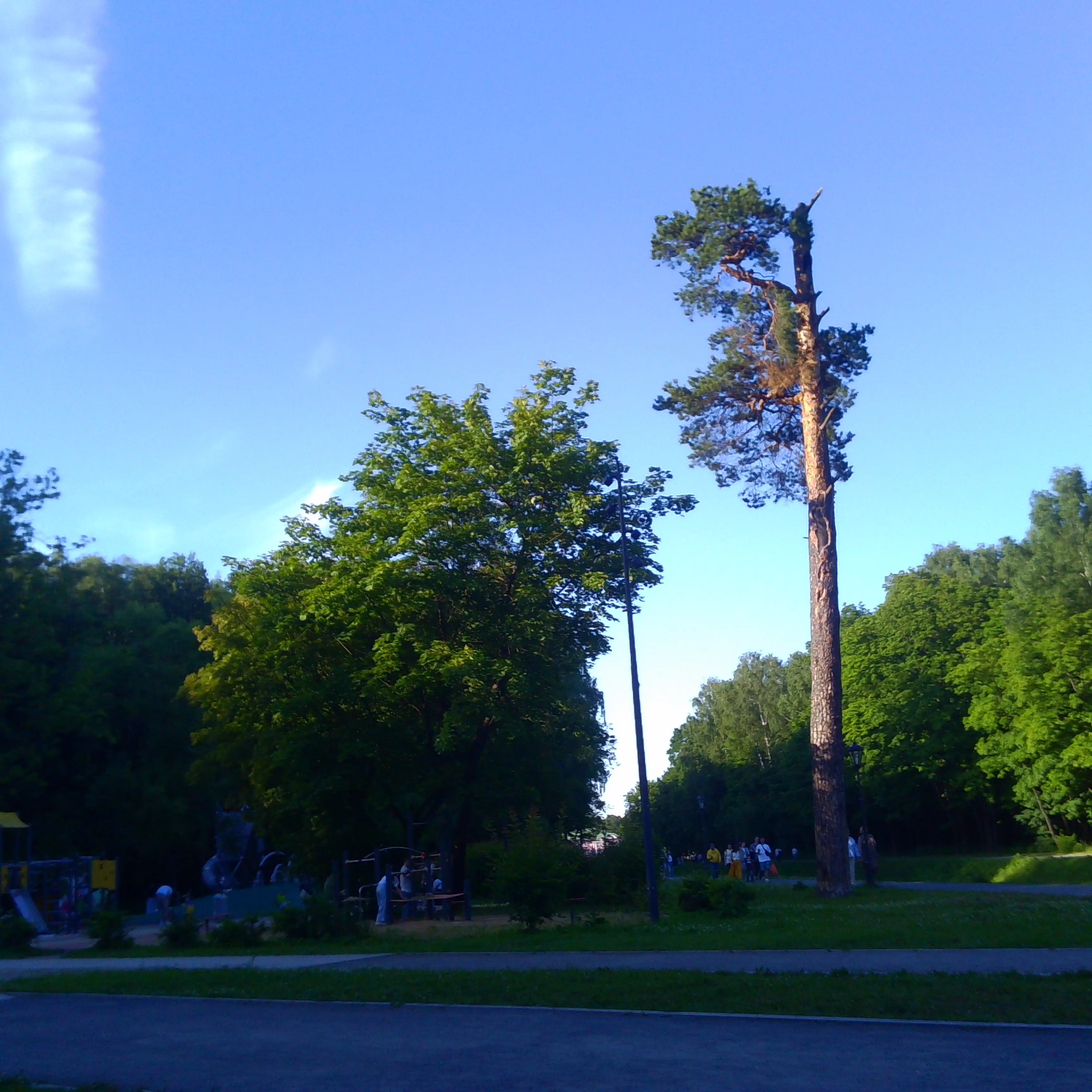 PICT0080