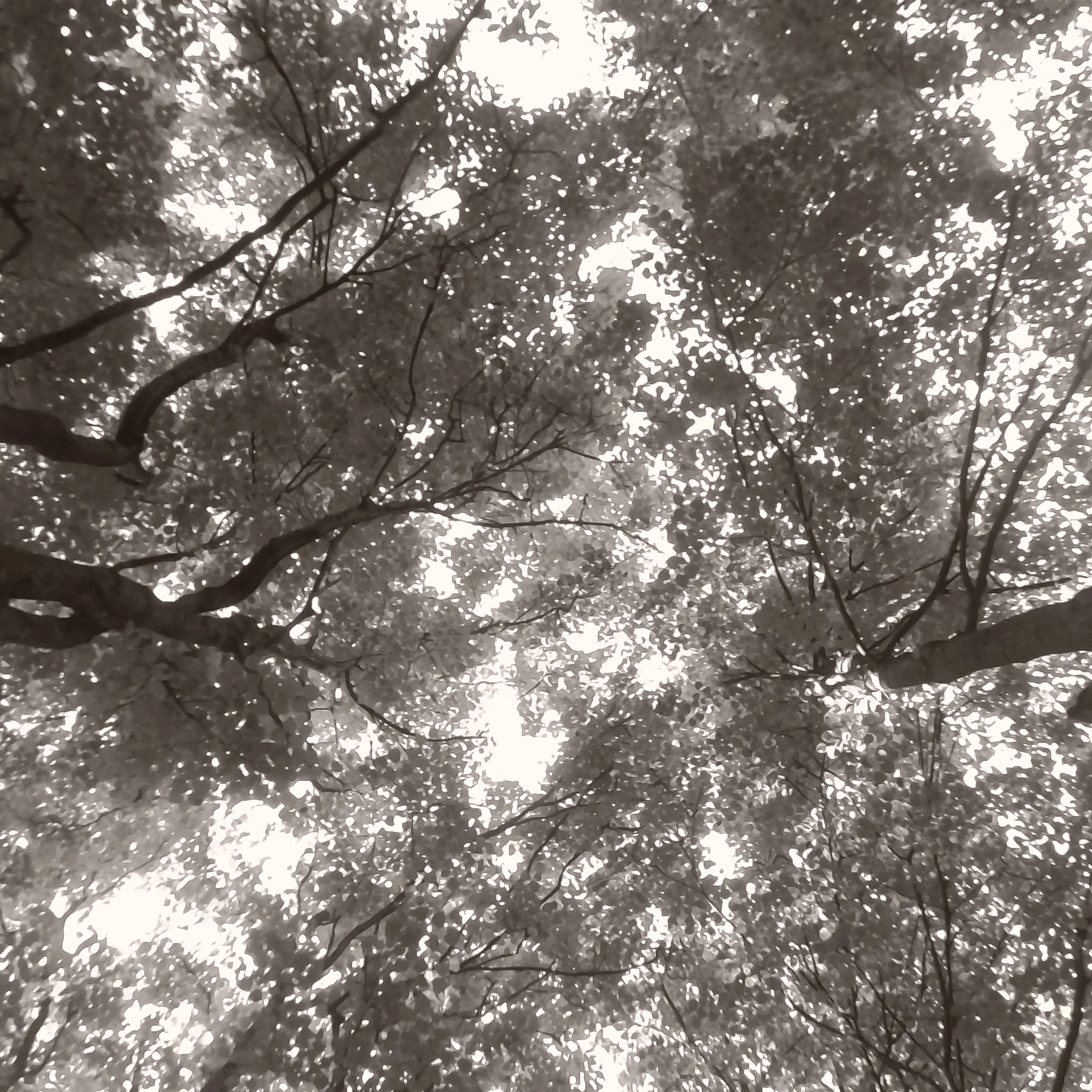 PICT0084
